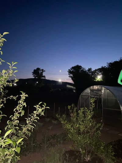This is a nighttime photograph taken in Qarqaraly, Kazakhstan, with the image rotated 90 degrees clockwise. The scene depicts an outdoor setting at dusk or early night, as indicated by the deep blue sky transitioning to darkness. In the foreground, lush green branches with small leaves are prominent, suggesting vegetation.

The background reveals a dark silhouette of a hill or mountain range. A greenhouse-like structure with a curved translucent roof and a metal frame is visible on the right side of the image, partially illuminated by what appears to be artificial lighting. A single, bright light source, possibly a streetlamp, is visible in the middle ground, casting a yellow glow on some trees. Two faint celestial bodies, possibly the moon and a bright star or planet, are visible in the twilight sky. The overall atmosphere is calm and serene, characteristic of a rural or semi-rural location at the end of the day.