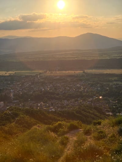The image depicts a panoramic landscape taken from an elevated vantage point overlooking the town of Stob, Bulgaria, at either sunrise or sunset. The sun, a bright circular disc, is prominently positioned in the upper center-right of the frame, casting a warm, golden-orange light across the scene. The sky exhibits varying shades of yellow and orange, with scattered, horizontally stretched clouds illuminated by the sun.
In the mid-ground, a series of mountain ranges are visible, appearing hazy and silhouetted against the bright sky, with the nearest range showing more defined peaks and contours. Below the mountains, a flat plain or valley stretches across the mid-distance, characterized by agricultural fields, some appearing cultivated in distinct patterns, interspersed with patches of dark green foliage and trees. A thin, reflective line, possibly a river or road, is faintly visible cutting through this area.
The town of Stob occupies a significant portion of the lower-mid ground. It is densely packed with numerous buildings, predominantly residential houses, many of which feature orange or reddish-brown tiled roofs. The town is surrounded and permeated by a considerable amount of green tree cover, partially obscuring individual structures. Roads and paths are discernible winding through the urban area. Sunlight reflects off a few surfaces within the town, including what appears to be a building or a body of water on the right side.
The foreground consists of a natural hillside covered in diverse vegetation. Tall, dry grasses and various shrubs dominate the immediate foreground, colored in rich golden-brown and green hues by the low-angle sunlight. A faint, unpaved dirt path or track is visible snaking through the vegetation on the right side of the foreground, leading towards the town below. No human figures or discernible animal life are present in the image.
