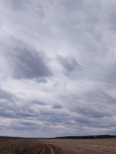 The image depicts a landscape scene in Treshchevka, Russia, under an overcast sky filled with grey clouds. A dirt road curves through a harvested field, and a line of trees is visible on the horizon. There are no people visible in the image.