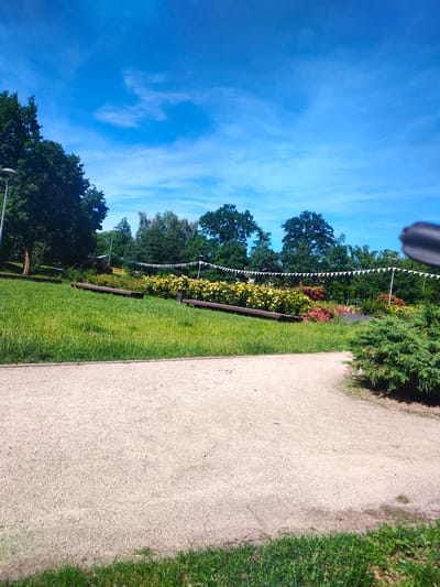 The image captures a scenic park with a pathway on the right side, bordered by lush green grass. The pathway is made of light-colored gravel. To the left of the pathway, a vibrant flowerbed displays a mix of yellow and pink roses, separated by wooden benches. Behind the flowers, a row of trees forms a dense green backdrop, with small white flags strung along the top of the trees. The sky is a clear, bright blue with wispy white clouds, suggesting a sunny day. The trees are tall and leafy, indicating a season with good foliage, likely spring or summer. The overall impression is one of a well-maintained, tranquil park, possibly a public garden or botanical space. There are no people visible in the frame, and no text is discernible. The scene suggests a pleasant, daytime setting ideal for outdoor recreation or relaxation.