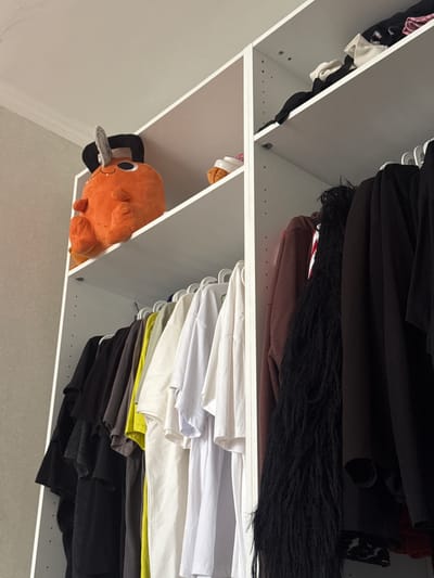 A white, open wardrobe is shown, displaying various clothing items on shelves and hanging on a rod. On the top shelf, a plush orange toy with black and white ears and a black hat is positioned to the left, while a smaller similar toy is on the right. The middle shelf holds folded black and white clothing. Below, a row of t-shirts in various colors, including black, gray, yellow, white, and light gray, hang on a rod. Further to the right, darker colored clothing, including a brown garment with a black fuzzy scarf draped over it, and a black jacket are visible. The background wall is a neutral gray. The scene is indoors, in Kirovsk, Russia.