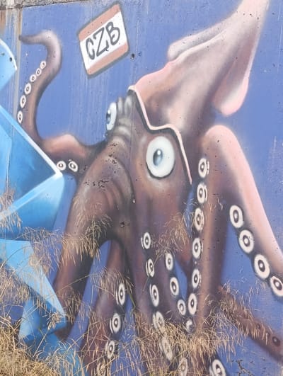 This is a close-up, eye-level, medium shot of graffiti on a blue wall, depicting a stylized octopus with large, piercing eyes. The octopus is rendered in shades of brown and pink, with its tentacles adorned with circular suckers outlined in white. A blue, geometric shape is partially visible on the left side of the frame. Above and to the left of the octopus's head, a rectangular tag with the letters "CZB" in black and white is spray-painted onto the wall. Dry, brown grass partially obscures the bottom portion of the graffiti. The graffiti is located on a rough concrete wall, suggesting it is an outdoor urban setting. Based on available information, this graffiti is situated in the city of Águilas, Spain, specifically on the wall bordering the coastline near the town center.