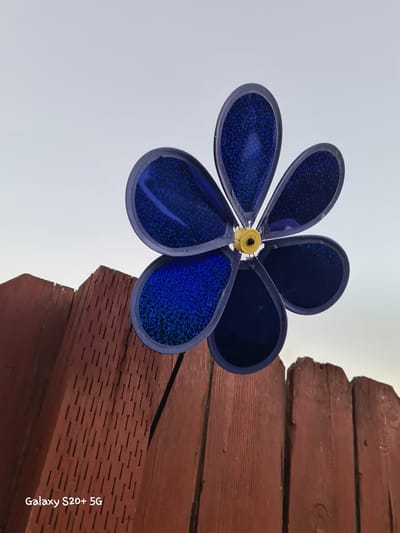 A close-up, low-angle shot captures a blue, glittery pinwheel flower perched above a weathered brown wooden fence. The pinwheel, composed of six rounded petal shapes, is positioned slightly off-center to the right, with its yellow central hub visible. The sky behind the pinwheel is a pale, overcast gray. The fence, made of vertical wooden planks, shows signs of age and wear, with visible grain and some surface imperfections. The bottom left corner of the image displays the text "Galaxy S20+ 5G." The scene is devoid of people or animals, and no specific action or interaction is depicted. The image appears to be taken outdoors, likely in a backyard or garden setting. The location is identified as Woodburn, United States of America.