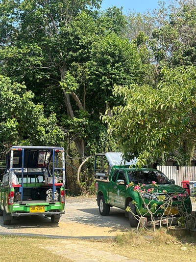 The image shows two green vehicles on a paved road in what appears to be Ao Hin Khok, Thailand, based on the visible Thai license plate. The first vehicle has a license plate number of 30-2674, and has blue metal rails on the body. The second vehicle is decorated with pink flowers. The location appears to be near a forested area with abundant trees and vegetation. A wooden structure is visible in the upper-right corner of the frame. The weather is clear and sunny.