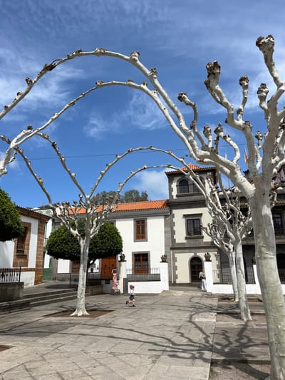 The image shows a plaza in the town of Teror, Spain. It is located at latitude 28.059 and longitude -15.548. There are two bare trees in the foreground that create an arch over a cobblestone plaza. The trees are in the center of the plaza, which is surrounded by low white buildings with brown tile roofs. There is one person running across the plaza, and two other people can be seen in the background. The sky is blue with a few white clouds.
