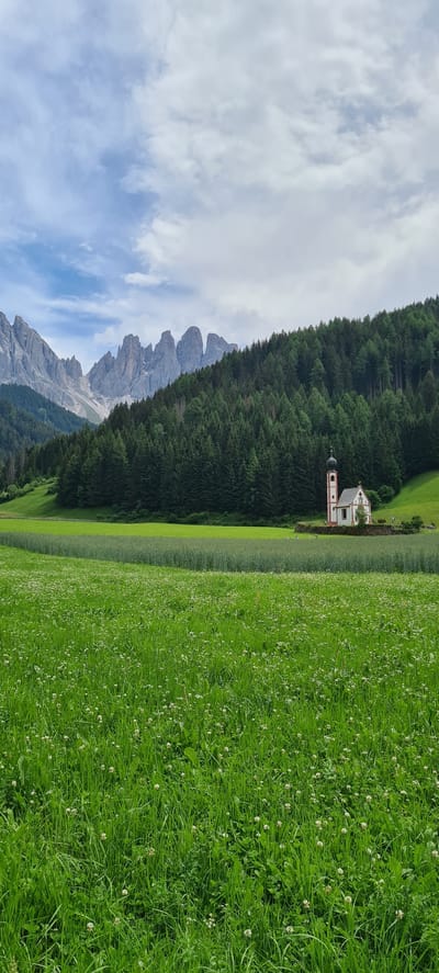 In the foreground of the image, a lush green meadow dotted with small white flowers stretches towards the horizon. Behind the meadow, a dense forest of evergreen trees blankets a hillside. Partially visible within the treeline is a small, white church with a red-tiled roof and a slender steeple. Further in the background, jagged, grey mountain peaks rise against a sky filled with dramatic, white clouds. The scene appears to be the iconic view of the church of San Giovanni in Ranui, often referred to as the Church of St. Magdalena, in the Val di Funes region of South Tyrol, Italy, near the village of Santa Maddalena. There are no people visible in the image, and the environment is predominantly natural, with the church being the sole man-made structure.