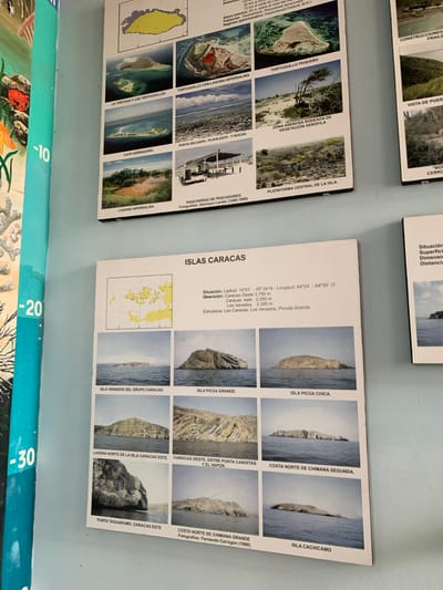 The image shows a wall covered with several informational posters and artwork. The posters display a collection of photographs and maps related to islands and coastal features. One large poster in the foreground titled "ISLAS CARACAS" features a map of an archipelago and multiple photographs of various islands and coastal landscapes, with labels in Spanish such as "ISLA VENADOS DEL GRUPO CARACAS", "ISLA PICUA GRANDE", "ISLA PICUA CHICA", "LADERA NORTE DE LA ISLA CARACAS ESTE", "CARACAS OESTE, ENTRE PUNTA CANOITAS Y EL VAPOR", "COSTA NORTE DE CHIMANA SEGUNDA", "PUNTA TAGUARUMO, CARACAS ESTE", and "ISLA CACHICAMO". To the left of this poster, a large artwork depicting coral reefs and marine life is visible, with partial numbers "-10", "-20", and "-30" printed vertically. Another poster on the upper left shows aerial views of islands and a salt lagoon, with captions like "LA TORTUGA Y LOS TORTUGUILLOS", "TORTUGUILLO CON LAGUNA HIPERSALINA", "TORTUGUILLO PEQUEÑO", "CAYO HERRADURA", "PUNTA DELGADA - PLAYA ESTE Y ROCAS", "ZONA ARENOSA RODEADA DE VEGETACIÓN XERÓFILA", "LAGUNA HIPERSALINA", and "PLATAFORMA CENTRAL DE LA ISLA". The posters are mounted on a light blue wall. The scene appears to be an indoor exhibition or educational display. The location of Boca del Río, Venezuela is not directly indicated by any visual elements within the image itself.