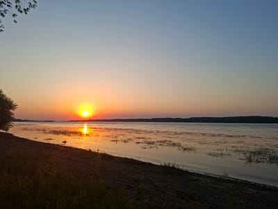 A tranquil sunset scene unfolds over the Danube River in Oryahovo, Bulgaria. The sun, a brilliant orb of yellow and orange, dips towards the horizon, casting a warm, radiant glow across the water. Its reflection shimmers on the gently rippling surface, creating a path of light that stretches towards the viewer. The riverbank in the foreground is composed of dark, pebbly sand, sparsely dotted with dry grass and reeds. A silhouette of a dense line of trees forms the distant horizon on the opposite bank. The sky above transitions from a soft orange hue near the sun to a clear, pale blue as it ascends, with faint, wispy clouds visible. A few dark leaves and branches from a tree in the upper left corner frame the expansive sky. The overall atmosphere is one of serene natural beauty, characteristic of a peaceful evening along the Danube.