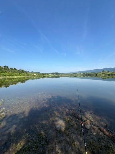 The image presents a tranquil outdoor scene depicting a still body of water, likely a lake or reservoir, situated in the city of Sushina, Bulgaria. The sky overhead is clear and bright blue, featuring only a few faint, wispy high-altitude clouds.

The distant horizon is characterized by rolling hills and varied terrain. On the left side, a dense mass of green deciduous trees lines the far bank of the water. Towards the center and right, the hills exhibit a mix of forested areas and open, undulating green fields. These distant land features are sharply reflected on the perfectly calm and smooth surface of the water, indicating an absence of wind or significant currents.

In the immediate foreground, a muddy bank slopes gently into the water. Sparse patches of green grass grow both on the bank and extend into the very shallowest parts of the water. Through the clear, shallow water, the submerged bottom is visible, showing a mix of mud and some aquatic vegetation. Dark, irregular shadows are cast across the muddy bank and into the shallow water, originating from an unseen object or individual located immediately to the viewer's left and slightly behind the camera's position.

A fishing rod is prominently featured on the right side of the foreground, angled downwards and extending into the water. The rod is dark in color with bright green or yellow accents along its length. It is supported by a red-tipped, black tripod-style rod holder. No individuals are directly visible in the frame; however, the presence of the fishing rod indicates active or prepared recreational fishing. The lighting suggests mid-day conditions.