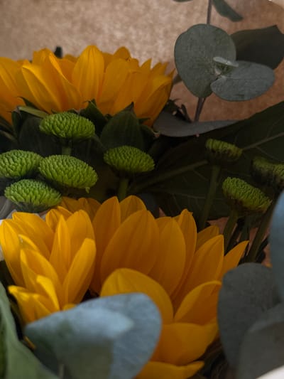 This is a close-up, high-angle shot of a floral arrangement. The subjects are yellow sunflowers and green chrysanthemums, with some eucalyptus leaves providing a greyish-blue accent. The background is a textured, light brown material, possibly wrapping paper or a wall. The lighting is soft and diffused. The image is a still life and contains no people or actions. The location of Novopokrovka, Kyrgyzstan, is not depicted in this image.