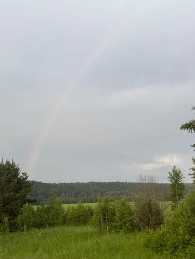 The image depicts a rural landscape in Заборье, Russia, under a cloudy sky where a faint rainbow is visible in the upper left quadrant. The foreground is dominated by lush green grass and various trees and shrubs. To the left, a large coniferous tree stands prominently. In the mid-ground, there is a rolling landscape of green fields bordered by a dense, dark green forest line stretching across the horizon. The overall impression is of a natural, somewhat overcast outdoor scene.