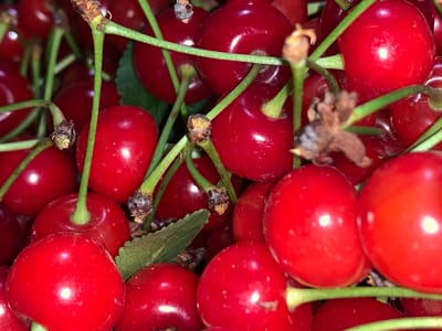 The image displays a close-up, high-angle shot of a pile of ripe, red cherries. The cherries are plump and glossy, with some showing slight variations in color and texture. Green stems are visible, attaching the cherries and interwoven amongst them. A few small, dry brown remnants, possibly from the cherry blossoms or stems, are scattered throughout the pile. One small green leaf is also visible, nestled among the cherries. The lighting creates bright highlights on the surface of the cherries, suggesting a natural or well-lit environment. The overall impression is a vibrant and fresh collection of fruit. There are no identifiable landmarks or elements that would place this image in Pisochyn, Ukraine. The image solely focuses on the cherries.