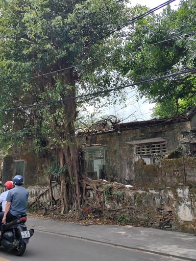 An outdoor, eye-level photograph captures a street scene in Phú Xuân Ward, Vietnam, featuring a severely dilapidated two-story building heavily overgrown by a large tree. The building's exterior walls are extensively covered in moss and staining, with visible brickwork and crumbling plaster. Its roof shows significant damage and partial collapse, revealing exposed timbers and debris. Two window openings are visible on the upper floor; one is a barred vent or shuttered window, and the other, to the left, appears to be an open, glassless frame.

A large tree dominates the left side of the frame, its thick trunk and numerous aerial roots intertwining with and growing into the building's foundation and lower wall. The tree's canopy is dense with green leaves, and overhead, multiple black utility lines traverse horizontally across the sky.

In the foreground, two individuals are riding a dark-colored motor scooter from left to right on a paved road. The driver wears a blue helmet and a grey short-sleeved shirt, while the passenger wears a red helmet and a white short-sleeved shirt. The scooter's rear license plate, "75-AF 097.54," is visible. A concrete sidewalk separates the road from the building. The sky above is overcast.