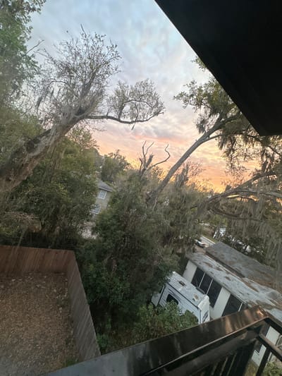This elevated static image captures a residential environment in Gainesville, Florida, United States, during either sunset or sunrise, indicated by the sky's cloudy composition displaying white, grey, orange, and pink hues. In the immediate foreground, a dark metal balcony railing is visible. To the lower left, a light-brown wooden privacy fence encloses an area of exposed earth and leaf litter. The scene is dominated by dense vegetation, including numerous trees, many heavily draped with Spanish moss, exhibiting both bare branches and sparse green foliage. Through the dense tree cover, a light-colored two-story residential building is partially visible in the mid-left. In the lower right, a white recreational vehicle (RV) or travel trailer is parked among trees, adjacent to a single-story light-colored building with a dark roof and multiple windows. A paved surface, possibly a road or driveway, with a light-colored vehicle, is visible further in the background to the right. No human subjects are present in the frame.