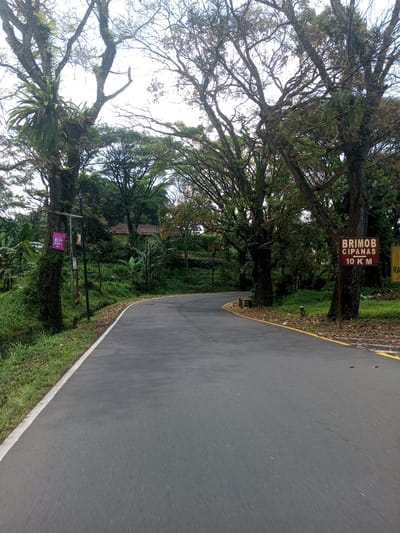 The image depicts a winding asphalt road surrounded by lush greenery and tall trees, possibly located in or near Nawng Hkar, Myanmar, though this cannot be definitively confirmed from the image alone. The road curves to the left, leading uphill. There's vegetation along both sides of the road, with trees lining the route. Some trees are adorned with ferns or other plants growing on their trunks. A sign on the right side of the road indicates "BRIMOB CIPANAS 10 KM," suggesting a direction and distance to the specified location. Another sign, partially obscured, is visible next to it. On the left side, a small sign is attached to a tree, likely for advertising purposes. A small building is visible in the background, nestled among the trees. The sky appears overcast.