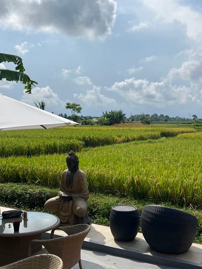The image depicts an outdoor scene in Singakerta, Indonesia. A lush, green rice field dominates the background. In the foreground, there's a seating area with two black wicker chairs positioned on a light gray surface. A stone Buddha statue sits near a round glass table and wicker chairs. Part of a white parasol is visible in the lower-left corner. The sky is blue with scattered white clouds.