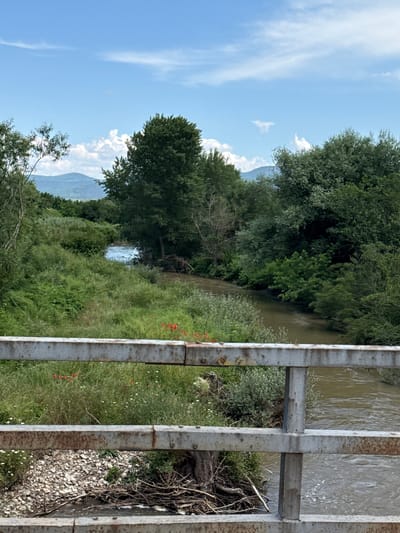 The image displays a natural landscape featuring a river and dense vegetation, viewed from a bridge in Vetren, Bulgaria. In the foreground, a weathered, rusty metal bridge railing, comprising two horizontal bars and a vertical support, occupies the lower portion of the frame. Directly behind the railing, on the left bank, is a concentration of green grass and foliage, interspersed with small red flowers, consistent with poppies, and scattered white wildflowers. Below the railing, the riverbank is composed of light-colored pebbles and exposed tree roots or branches. The river, flowing from left to right, exhibits a murky brownish-green hue with visible ripples and patches of foam, indicating water movement. Both river banks are densely covered with a variety of green trees and thick shrubs. In the background, a distant mountain range, appearing hazy blue-grey, is visible under a clear blue sky. The sky features scattered white, wispy clouds and some more distinct cumulus formations. The scene is brightly illuminated, suggesting a late morning or early afternoon during a warm season. No individuals or specific human actions are discernible within the frame.