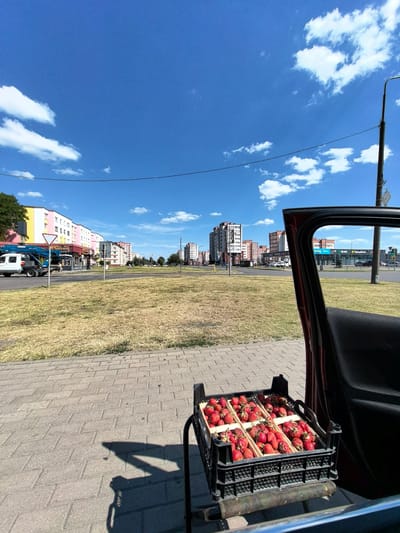A close-up shot from inside a car shows an open car door, revealing a black crate overflowing with ripe strawberries resting on a metal stand. The strawberries are arranged in wooden dividers within the crate, showcasing their vibrant red color. Beyond the crate, a paved sidewalk is visible, followed by a patch of dry grass and a road. In the background, a row of multi-story apartment buildings lines the street, with a clear blue sky dotted with white clouds overhead. A streetlamp stands to the right of the frame, and a few cars are parked or driving on the road. This scene appears to be located in the city of Kobryn, Belarus, likely on a sunny day.