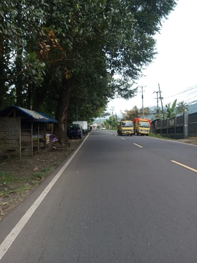 This image depicts a roadside scene in Khajuripada, India, under an overcast sky. An asphalt road, marked with a solid white line on the left shoulder and a broken yellow line down its center, recedes into the distance.
On the immediate left, a dirt verge is present, leading to a row of large trees with dense green foliage. Beneath these trees, a rudimentary open-sided stall or shelter with a blue tarp roof and woven bamboo-like walls is situated. Further along the left side, a dark-colored sedan is parked partially under the trees, followed by a white truck or van. One or more indistinct human figures are partially visible near these parked vehicles in the mid-ground.
On the right side of the road, two yellow trucks are parked parallel to the road; the truck further from the viewer has a red tarp covering its cargo bed. Behind these vehicles, a dark grey or black concrete wall runs parallel to the road. Overhead power poles with multiple utility lines are positioned along this side. Beyond the wall and poles, green vegetation, including broad leaves resembling banana plants, is visible. Distant hills or mountains rise in the background beneath the bright, cloud-covered sky. No explicit actions or interactions among individuals are clearly discernible.