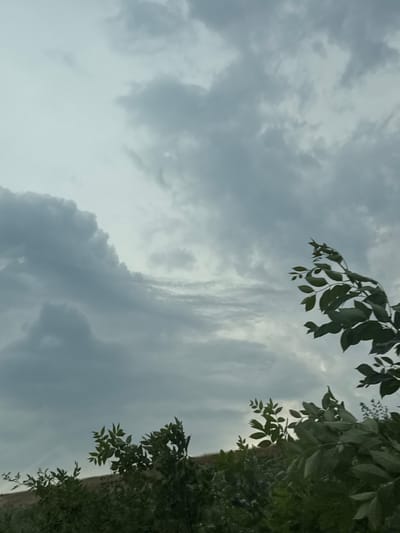 This is a vertical, low-angle, outdoor shot of a cloudy sky with foliage in the foreground. The sky is filled with various shades of gray clouds, some appearing wispy and others more dense and textured. There are hints of brighter light breaking through in some areas, suggesting it might be daytime, possibly before or after a storm.
Green leaves and branches of trees frame the right and upper left portions of the image. The leaves are dark green and appear somewhat lush, indicating a healthy environment. The foliage is out of focus in some areas, drawing the viewer's eye to the clouds.
The overall mood of the image is somewhat somber and contemplative, due to the heavy cloud cover. There is no visible text. The location context provided is Tutrakan, Bulgaria.