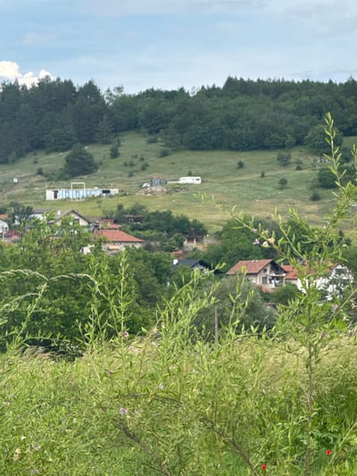 The image depicts a rural landscape in Dragovishtitsa, Bulgaria, dominated by lush greenery. In the foreground, tall grasses and leafy branches, some with small pink and white flowers, obscure the view of a village nestled in the valley. The village is characterized by several houses with red-tiled roofs and a few modern structures.
Further in the background, a gently sloping hill is covered with a mix of trees and grassy patches. At the crest of the hill, a forest line forms a dark green band against the sky. A white caravan is visible parked on the grassy slope, and what appears to be unfinished construction or a modern building with large windows is situated on the hillside. The sky is a pale blue with scattered white clouds. The overall impression is one of a serene, semi-rural setting during daylight hours. No people are visible in the image.