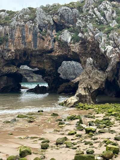 The image depicts the coastline near the town of Llanes, Spain, featuring a rocky cove with arches carved into the cliffs by the sea. The foreground is a sandy beach littered with numerous rounded stones, many covered in green algae. The tide is out, revealing wet sand and some shallow pools of water.

The central focus of the image is a large rock formation with two prominent archways. Through the arches, glimpses of the sea and further rock formations can be seen. The cliffs are rugged and steep, with patches of green vegetation growing on their upper slopes. The water is a clear turquoise, and small waves are breaking gently on the shore. The sky above is overcast, casting a diffused light over the scene.

There are no people visible in the image. The environment is natural and appears untouched by human activity, except for possibly being a tourist destination. The overall impression is one of natural beauty and the power of the sea to shape the landscape.