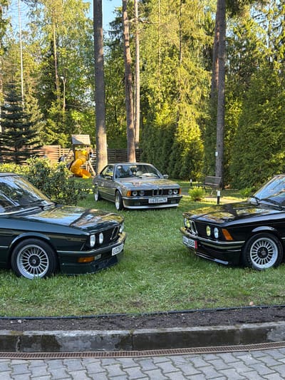 The image shows a collection of classic BMW cars parked on a grassy area in Repino, Russia. The cars are predominantly from the 1970s and 1980s, including models from the E24 (6-Series) range, with visible license plates indicating Russian registration. The surrounding environment features trees, suggesting a park or residential area. A children's playground with a yellow slide is visible in the background. The area adjacent to the cars is paved with concrete blocks.