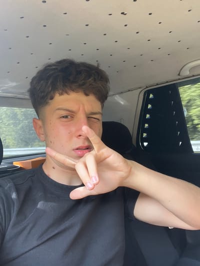 The image shows a young person sitting inside a vehicle, possibly a van given the interior lining and the pattern on the ceiling. The person has light skin, short, dark, curly hair, and is wearing a black t-shirt. They are making a peace sign with their right hand while winking and sticking out their tongue slightly. The background shows greenery outside the window, suggesting a rural or suburban setting, but no specific Taran, Bulgaria location can be identified. The interior of the vehicle appears to be customized, with small circular imprints on the ceiling lining.