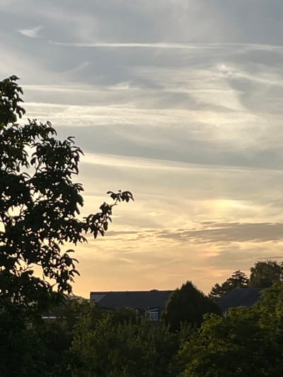 The image depicts a view of the sky at sunset over Mondercange, Luxembourg. A silhouetted tree branch with leaves occupies the left foreground, casting shadows against the backdrop of a hazy, orange-tinted sky streaked with pale clouds. In the midground, the dark roofs of several buildings are visible, partially obscured by dense green foliage. The overall scene is peaceful, capturing the ambient light of dusk.
