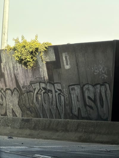 The image shows a section of a concrete overpass, possibly part of the A86 autoroute, near Thiais, France. The overpass is covered in graffiti, with large, stylized lettering dominating the concrete surface. Some of the graffiti appears to be in gray and black, with white accents. In the upper left quadrant, a section of a light gray concrete pillar is visible, and lush green vegetation spills over the top of the overpass. A concrete barrier separates the overpass from the road below, which is visible in the lower portion of the image. Some debris is scattered on the road. The sky is a pale, overcast blue.