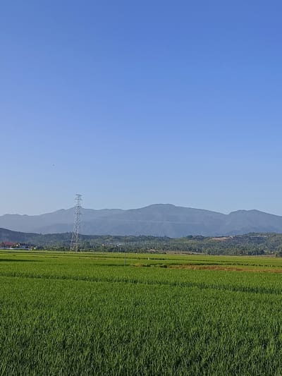 The image depicts a vast, vibrant green rice paddy field under a clear blue sky. In the background, a series of undulating mountains form a distant silhouette, partially obscured by haze. A tall, lattice-like electricity pylon stands prominently to the left of the frame, near the middle ground. Scattered buildings and trees dot the landscape between the rice fields and the mountains. The scene is a serene, rural vista, characteristic of the agricultural areas in Bunot, Indonesia.
