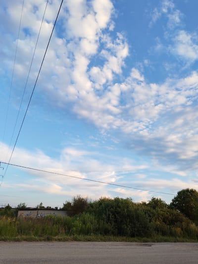 This media file depicts an outdoor scene at dusk in Vasil'ki, Russia. The sky is a vibrant blue, filled with scattered white clouds that are illuminated by the setting sun, creating a warm glow. Three power lines stretch diagonally across the sky, a common sight in rural or suburban areas.
In the foreground, a dirt road with a gravel surface is visible. Beyond the road lies a dense area of lush green vegetation, including tall grasses and various bushes and trees. Among the foliage, a low-lying, rectangular brick building is partially visible. The building appears to be weathered and covered in graffiti. The overall atmosphere suggests a peaceful, natural setting transitioning into evening. There is no discernible activity or event taking place; the image captures a static landscape.