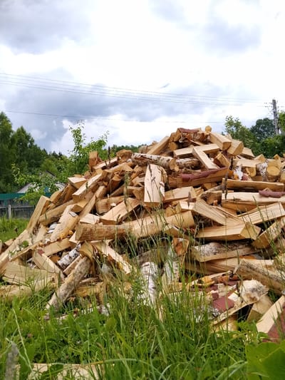 A large, untidy pile of chopped firewood is situated outdoors, filling the majority of the frame. The wood is a mixture of light brown and white, with some pieces showing remnants of bark, particularly the reddish-brown peeling bark characteristic of birch trees. The logs are of various lengths and thicknesses, haphazardly stacked, creating an irregular mound.
In the foreground, tall green grass and other vegetation obscure the base of the woodpile. Behind the firewood, a green fence is visible, separating the area from a building with a white exterior and a light-colored roof, suggesting a residential property. Further back, a dense line of green trees forms the horizon, with the tops of some taller trees reaching towards the sky.
The sky above is overcast, with a mix of white and gray clouds, indicating a cloudy or possibly rainy day. Power lines are strung across the upper portion of the image, supported by utility poles visible on the right side. The overall impression is that of a rural or suburban backyard setting, likely in a location where firewood is a common necessity. The image appears to be taken in Krasnoarmeysk, Russia, given the context provided, suggesting a domestic scene related to heating or cooking. No people are visible in the image.