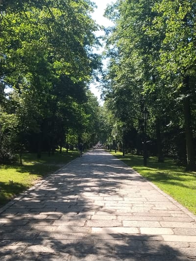 The image depicts a sun-dappled stone pathway running through a park lined with lush green trees. The pathway, made of rectangular stones, is partially covered in the dappled shadows of the trees, suggesting a sunny day, likely in the afternoon given the angle of the light. To the left of the pathway, a well-maintained lawn is visible, also illuminated by sunlight and tree shadows. Further into the park, a line of tall trees creates a canopy, with occasional glimpses of a bright sky through the leaves. Several lampposts are spaced along the path, hinting at the park's suitability for evening strolls. In the distance, along the pathway, a few people are visible, suggesting a leisurely atmosphere. The scene evokes a sense of tranquility and natural beauty, characteristic of a public park. The location context identifies this as Písek, Czechia, which aligns with the European park aesthetic. No text is visible in the image.