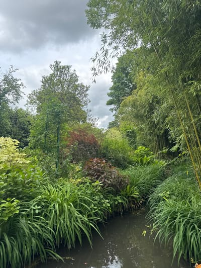 The image shows a small, dark pond with a small amount of water. It is surrounded by lush greenery, including tall bamboo, various leafy shrubs, and green grass. The pond is located in Giverny, France, specifically in the garden of the famous artist Claude Monet's home at the coordinates 49.074, 1.534. The scene is overcast with a gray sky, suggesting a cloudy or possibly rainy day. The image is taken at a low angle, focusing on the pond and the surrounding vegetation.  The pond is partially obscured by the lush foliage.  The green foliage is dense and overgrown, providing a sense of seclusion and privacy.