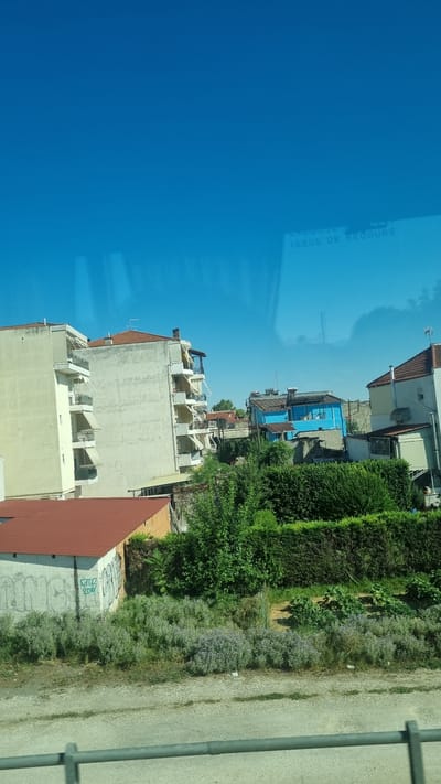 The image, taken from an elevated perspective likely from a vehicle, depicts a bright, sunny day in Larissa, Greece, with a clear blue sky dominating the upper portion. In the mid-ground, several buildings are visible. To the left, a tall, light-colored apartment building with multiple balconies and awnings stands prominently. Adjacent to it, another apartment building of similar height, painted a cream color, also features balconies and awnings. Further to the right, a smaller, vibrant blue house is nestled among other structures. Greenery, including trees and hedges, forms a dense band across the foreground and mid-ground, interspersed with patches of low-lying purple flowers and some unkempt vegetation. A red-tiled roof of a single-story structure is visible in the lower left corner, with graffiti spray-painted on its wall. In the distance, glimpses of other buildings and roofs suggest an urban or semi-urban environment. A subtle reflection on what appears to be a window or glass surface in the upper right quadrant of the image shows the text "ISSUE DE SECOURS", which translates to "EMERGENCY EXIT" in French, indicating the photograph may have been taken through a vehicle window. A horizontal metal railing runs across the bottom of the image, further suggesting the viewpoint is from a moving vehicle. The overall scene conveys a typical view of a residential area in Larissa on a clear day.