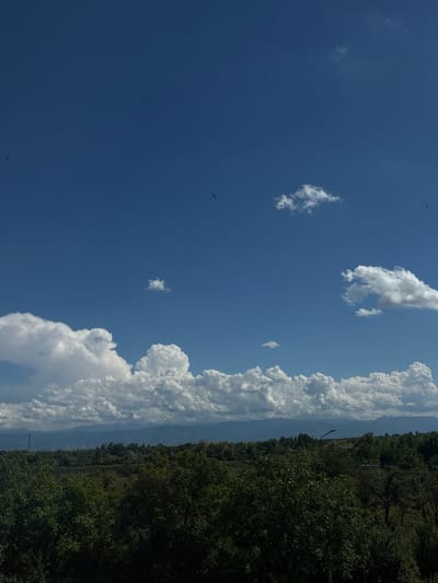 The image depicts a wide shot of a landscape under a clear blue sky with scattered white clouds. In the foreground, dense green trees dominate the lower portion of the frame. Beyond the trees, a treeline extends across the middle ground, with a few scattered structures, including what appears to be a lamppost, visible. In the far distance, a mountain range forms the horizon. The sky above is a vibrant blue, with several cumulus clouds varying in size and density. A few small dark specks, possibly birds, are visible in the sky. The scene appears to be an outdoor, natural environment, likely in a rural or semi-rural area. The time of day appears to be daytime, with bright sunlight casting shadows. There are no people or animals directly visible in the image.