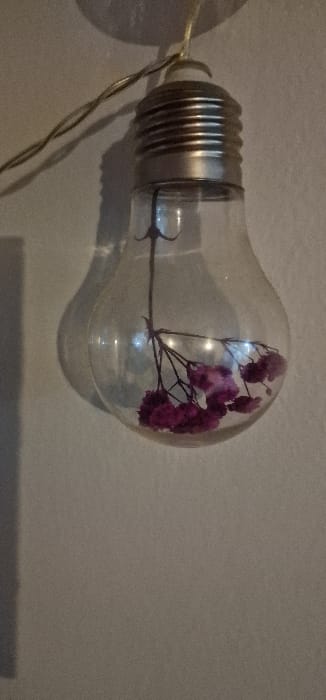 A clear glass light bulb, shaped like a traditional incandescent bulb, hangs suspended against a light-colored, textured wall. The bulb contains a dried plant stem, from which multiple small, deep magenta flowers are clustered, resting at the bottom interior of the glass enclosure. The top of the bulb features a metallic, threaded screw base from which a thin, braided, light-colored electrical wire extends upwards and towards the left. A distinct shadow of the bulb and its contents is cast on the wall to the left, indicating a light source from the right. No people or actions are depicted. The scene is devoid of identifying geographical markers.
