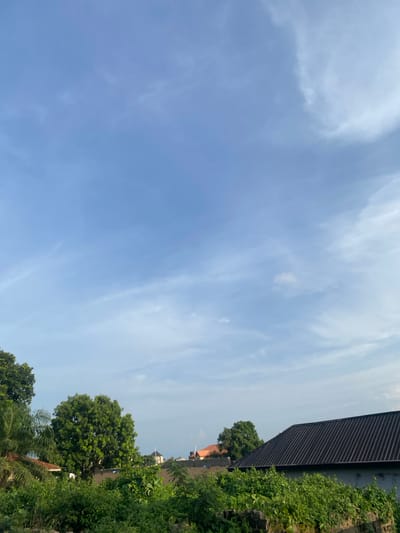 The image displays an outdoor scene under a vast, bright blue sky with scattered, wispy white clouds. The original image is oriented vertically, with the sky occupying the majority of the left side and the ground-level elements appearing on the right side.
When viewed upright, the sky dominates the upper and left portions of the frame, showcasing a clear day with high-altitude, thin cloud formations. On the right and lower right side, there is a dense line of lush green foliage, consisting of various trees and bushes. Above this greenery, a dark-colored, possibly corrugated metal, roof of a building stretches diagonally across the upper right, featuring distinct horizontal lines or panels. Further in the background, partially obscured by the trees, are hints of other buildings with reddish-brown roofs, suggesting residential structures.
The scene is well-lit by natural sunlight, indicating it is daytime. The weather appears fair and clear. No people or specific activities are visible within the frame. There is no discernible text. The image presents a quiet, natural landscape with some built structures, aligning with a potential view in Sasaro, Nigeria.