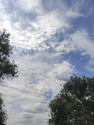 The image depicts a sky with scattered white clouds against a blue background, framed by the dark green foliage of trees on the left and right sides. Several parallel wires are visible horizontally across the frame, obscuring parts of the sky. The scene is likely an outdoor environment, possibly within the city of Qairat, Kazakhstan, as suggested. No people or specific actions are depicted. The overall impression is one of a natural setting with man-made elements.