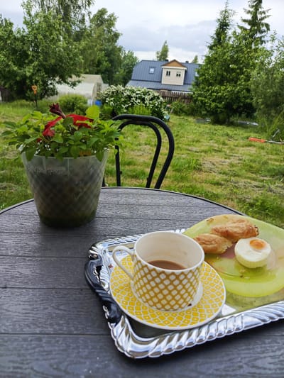 A close-up shot focuses on a table set for breakfast in a garden. In the foreground, a dark wooden table holds a silver tray with a yellow and white patterned teacup and saucer containing coffee. Beside the cup is a light green plate with a piece of pastry and a small, round white food item with an egg yolk in the center. To the left, a clear plastic pot overflows with lush green foliage and red flowers.

In the background, a lush green lawn stretches towards a fence and trees. Beyond the fence, a house with a dark roof and a distinctive light-colored dormer with two windows is visible. A greenhouse and other greenery are also present, suggesting a residential setting in Alexandrovskaya, Russia. The sky is overcast, indicating a cloudy day. The scene is still and peaceful, capturing a moment of quiet enjoyment of breakfast outdoors.