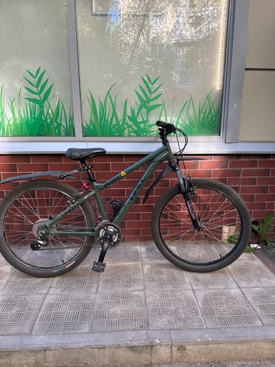 A green bicycle is parked on a tiled sidewalk in front of a brick wall and a window with a green grass decal. The bicycle is a mountain bike with front suspension, a black seat, and knobby tires. A black fender is attached to the rear wheel. The bicycle has a red reflector on the seat post. The window is partially obscured by sunlight and tree branches, but the green grass decal is clearly visible. A portion of a building with windows is reflected in the glass. The sidewalk is made of square gray tiles with a textured pattern. A concrete curb is visible in the foreground. The environment appears to be outdoors, likely in a public area. There are no people in the image.