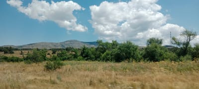 The image depicts a landscape scene on a bright, cloudy day in El Espinar, Spain. The foreground is dominated by dry, golden-brown grass and some smaller green bushes, suggesting a dry season. In the middle ground, a dense line of lush green trees forms a natural barrier. Beyond the trees, a large, rolling mountain range stretches across the horizon, with its slopes appearing dry and sparsely vegetated. The sky above is a clear blue, punctuated by large, puffy white clouds. A tall, latticed electricity pylon is visible on the right side of the image, rising above the trees and silhouetted against the sky. The overall impression is of a rural or semi-rural environment, likely a natural park or undeveloped area within or near El Espinar. There are no people or animals visible in the image, and the focus is on the natural environment and man-made infrastructure.