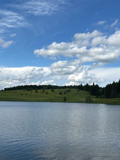 The image shows a serene landscape with a large body of water in the foreground, reflecting the sky. The water is calm, with subtle ripples across its surface, and appears to be a deep blue-gray color. Beyond the water, a green, rolling hill rises, dotted with scattered trees and some patches of lighter green vegetation, possibly grass or low-lying plants.
The hill is crowned by a dense line of dark green coniferous trees, forming a distinct treeline along the horizon. The sky above is a vibrant blue, with scattered white cumulus clouds of varying sizes. Some clouds are thin and wispy, while others are more voluminous and textured, casting soft shadows.
This scene is located in the city of Верх-Рождество, Russia, and depicts a natural, undisturbed environment typical of the region. There are no people or visible man-made structures in the frame, emphasizing the tranquil and natural beauty of the location. The overall impression is one of peacefulness and natural splendor, with the interplay of water, land, and sky creating a harmonious composition.