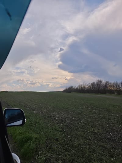 The image, apparently taken from inside a vehicle, shows a landscape consisting of a large, open field under a cloudy sky. The field appears to be agricultural land, with signs of recent plowing and the beginnings of plant growth. In the distance, a line of trees can be seen, marking a boundary or edge of the field. The clouds in the sky are varied in color and density, ranging from light, wispy formations to darker, more ominous ones. The image includes a portion of the vehicle from which it was taken, including a side mirror and part of the window frame. There is no indication that this image is from Etoka, Russia. There are no people visible in the image. The scene appears to be rural.