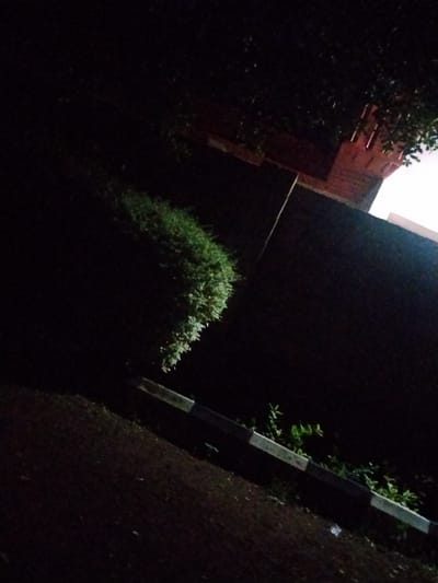The image depicts an outdoor scene at night, likely in Mangu Town, Nigeria. The primary subjects are a dense, green bush and a dark, textured wall. The bush is illuminated from the side, highlighting its shape and texture, while the wall appears to be made of brick or a similar rough material. Above the wall, glimpses of red brick architecture and foliage are visible, suggesting the presence of a building or structure.
The lighting conditions indicate it is nighttime, with artificial light sources casting shadows and illuminating parts of the scene. The overall mood is subdued and somewhat mysterious due to the low light. There are no people or specific activities captured in the image. The ground in the foreground is dark and appears to be a paved surface, possibly a road or pathway, with a curb or border marked with alternating black and white stripes. Small green plants are growing near this border.
Notable details include the contrast between the illuminated bush and the dark surroundings, the texture of the wall, and the patterned border. The presence of foliage and the architectural hints suggest a built environment within a natural setting, common in residential or public areas. The time of day is clearly night. No visible text is present in the image.