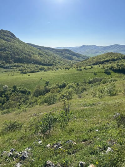 The image shows a view of a mountain landscape near the village of Bilka, Bulgaria. The foreground consists of a steep grassy slope with patches of shrubs and exposed rocks. A faint trail or path runs along the slope. The middle ground shows a forested hillside with varying shades of green indicating different types of vegetation. In the background, more distant mountain ranges are visible under a clear blue sky with a bright sun.