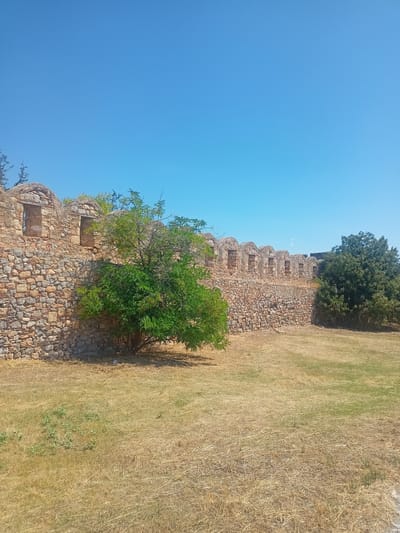 This is a wide shot of an ancient stone wall with arched openings, likely part of a historical ruin or fortification, under a clear blue sky. The wall is constructed from irregular stones of varying sizes and colors, primarily in shades of brown and gray. It extends horizontally across the frame from left to right. Several arched openings are visible along the top of the wall, some with remnants of wooden frames.
In front of the wall, to the left of center, is a vibrant green tree with dense foliage. To the right of the wall, a large, dark green, leafy tree is visible. The ground in front of the wall is covered in dry, yellowed grass, suggesting a dry climate or season. The terrain slopes gently upwards from the foreground towards the wall.
The scene appears to be an outdoor historical site. Given the architectural style and the Mediterranean vegetation, the location could be within the Municipal Unit of Anthidon, Greece, a region known for its ancient ruins and historical significance. There are no people or animals visible in the image. The overall impression is one of ancient history preserved within a natural, sun-drenched environment.