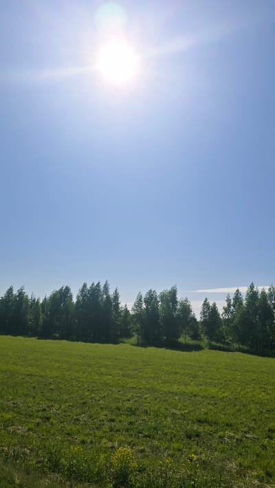 The image depicts a bright, sunny day with a clear blue sky dominating the upper half of the frame. The sun, positioned in the top left corner, is the primary light source, casting a lens flare and creating a hazy effect. Below the sky, a line of green trees forms a dense forest or grove, stretching horizontally across the middle of the image. The trees have a full canopy of leaves and appear to be swaying slightly, suggesting a gentle breeze. In the foreground, a lush green meadow or field extends towards the viewer. The grass is a vibrant green, with some patches of dry grass and a few small yellow wildflowers visible at the bottom of the frame. The overall scene is one of natural beauty and tranquility, characteristic of a rural or semi-rural environment. The location is stated to be in the city of Актюбинский, Russia.