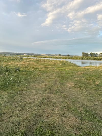 The image shows a wide river flowing through a rural landscape under a cloudy sky. The foreground is dominated by a grassy field with patches of dry and green grass, and a faint dirt path leading towards the river. Small white wildflowers are scattered across the left side of the field. The river is calm and reflects the sky. The opposite bank of the river is lined with trees and dense vegetation, with rolling hills in the distance. A small settlement or cluster of buildings can be seen on the far left bank. The overall scene depicts a natural, serene environment.